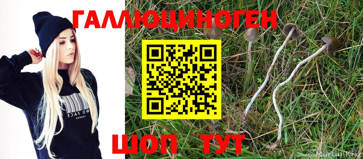 Псилоцибиновые грибы ЛСД Асино
