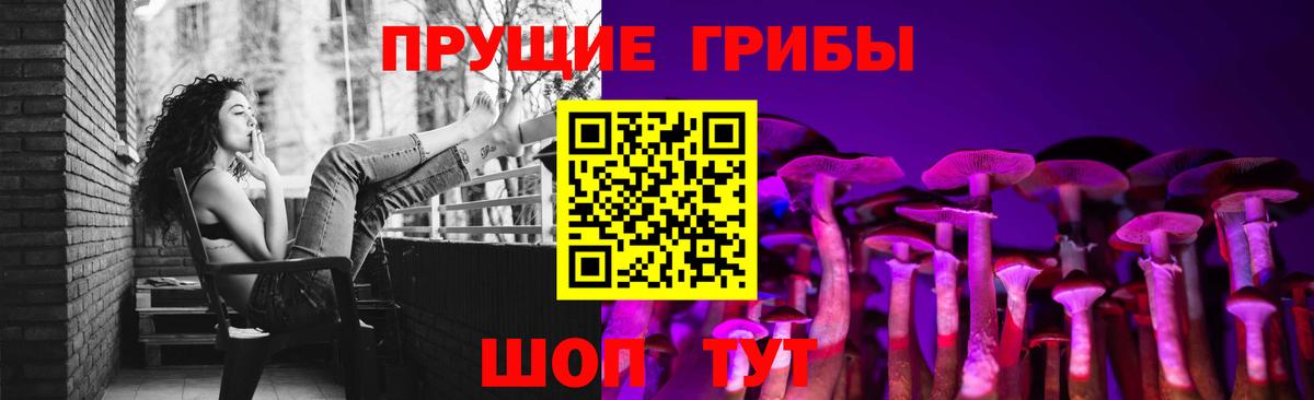 Асино  Псилоцибиновые грибы мухоморы  Галлюциногенные грибы Magic Shrooms  Вход с VPN 